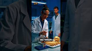 Silk Road DNA Secrets #SilkRoad #AncientDNA #History