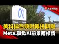 美科技巨頭財報揭關鍵訊號  Meta、微軟AI前景兩樣情｜#寰宇新聞 @globalnewstw