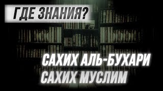 Где знания Сахих аль-Бухари и Муслим? | ИСЛАМ