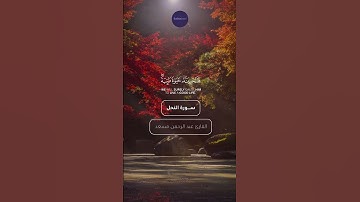 قرآن ﴿۞مَنْ عَمِلَ صَالِحًا مِنْ ذَكَرٍ أَوْ أُنْثَى ﴾🍁قرآن كريم🍁 سورة االنحل #قرآن #آيات #تلاوات