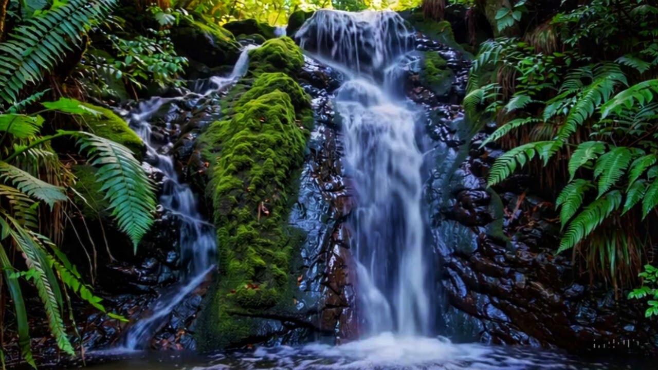 Relaxing Nature Sounds with Soft Piano for Peaceful Sleep and Stress Healing