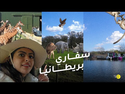 فلوق رحلة للسفاري | Vlog safari trip