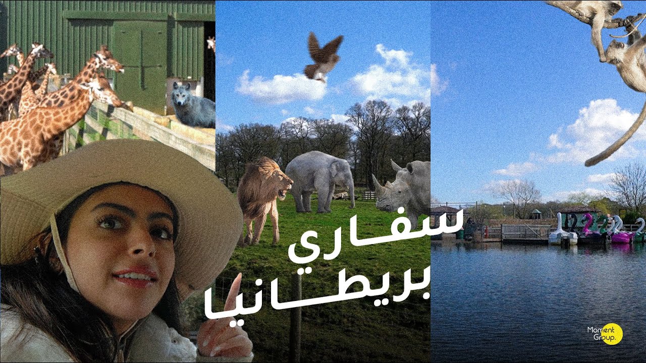 فلوق رحلة للسفاري | Vlog safari trip