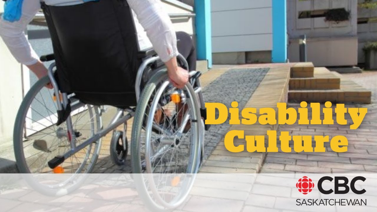 How would you define disability culture?