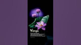 STORY WA PSHT KEREN
