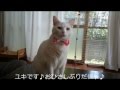 おふろいやにゃーのその後♪