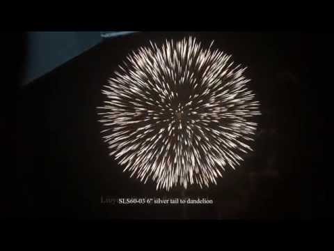 SLS60-03 6'' silver tail to dandelion