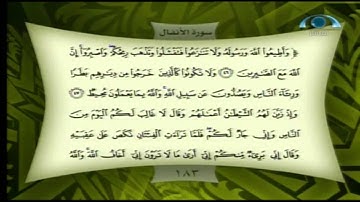 تصحيح التلاوة 183 سورة الأنفال (46-52)