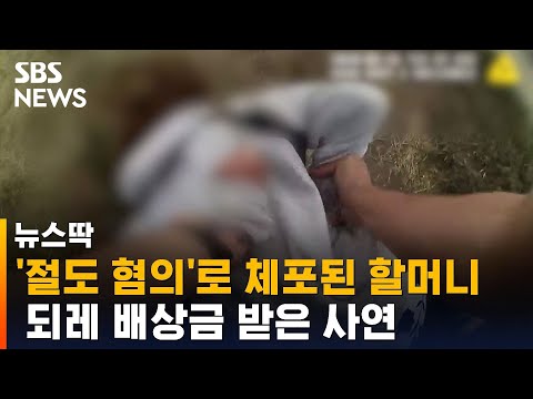 미국 할머니, &amp;#39;절도 혐의&amp;#39;로 체포된 후 배상금 받은 사연 / SBS / 뉴스딱