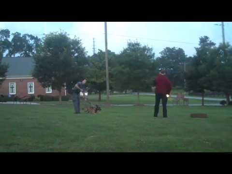 Milton Police Officer Brian Kiel & K9 Police Dog D...