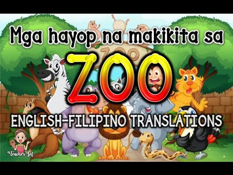 MGA HAYOP NA MAKIKITA SA ZOO (english-filipino translations)  ZOO ANIMALS