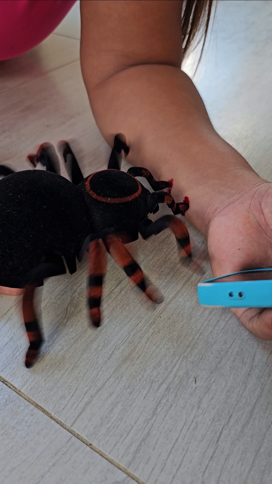 Foi Mordiada Pela Tarantula ??? #funny  #comedy