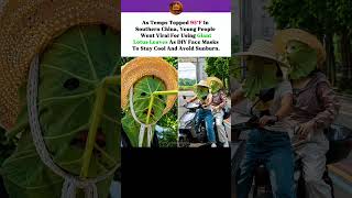 Gen Z's Wild Heatwave Hack: Giant Lotus Leaf Face Masks! 🌿☀️ #china #usa #fyoupage #viralhack