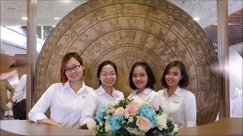 Phan Vu Group - Established Businesses