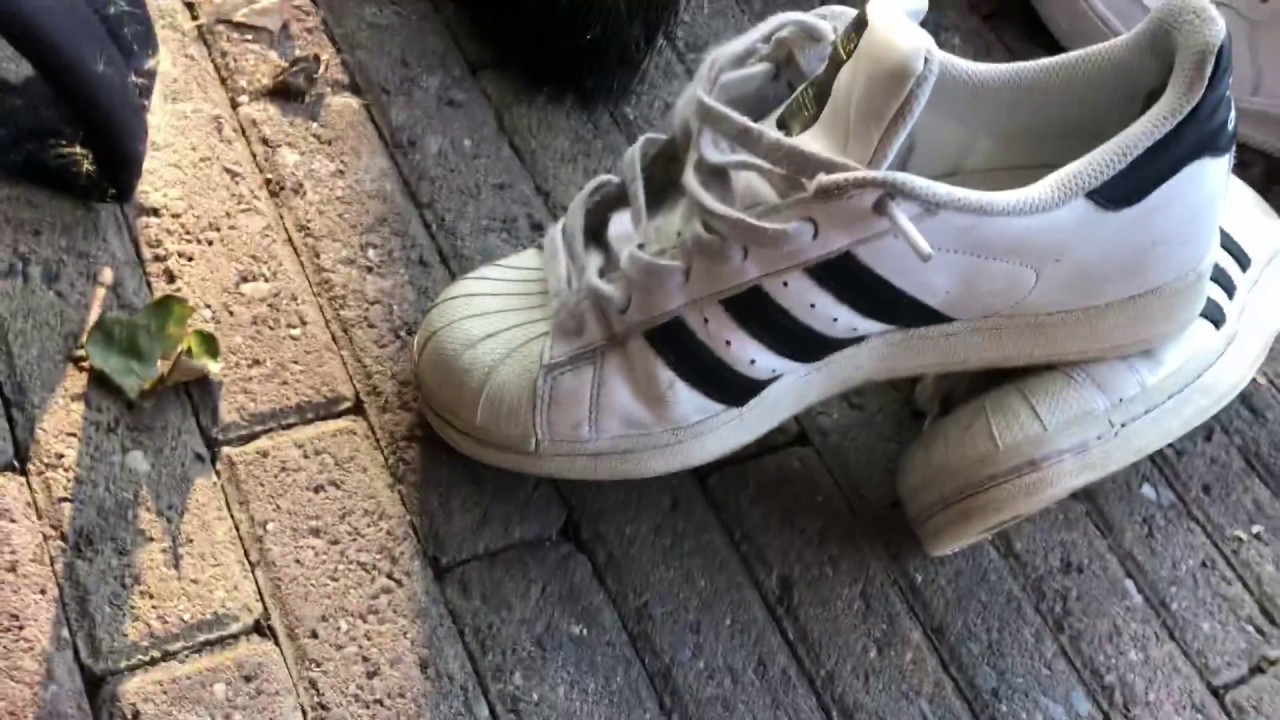 adidas superstar worn