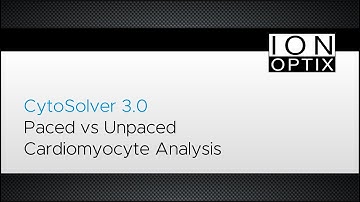 CytoSolver Fitting Paced and Unpaced Cardiomyocytes