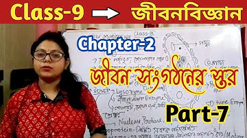 Class -9, জীবন বিজ্ঞান (Life Science),Chapter-2/জীবন সংগঠনের স্তর,Part-7//WBBSE/Unique Learning Lab