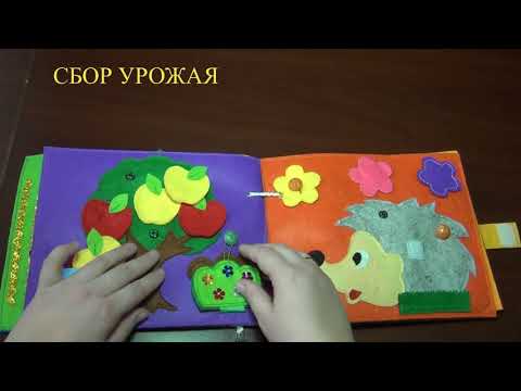 Многофункциональное дидактическое пособие "Волшебная книга"