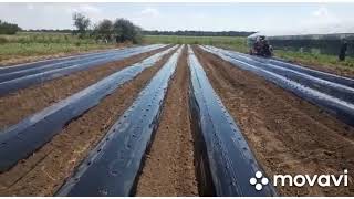 видео: Делаем бугры для клубники.Трубогиб для балаганов картинка: Делаем бугры для клубники.Трубогиб для балаганов