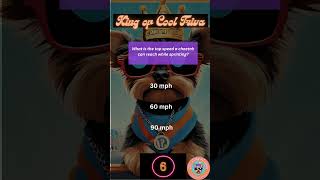 The King Of Cool Rules The Trivia