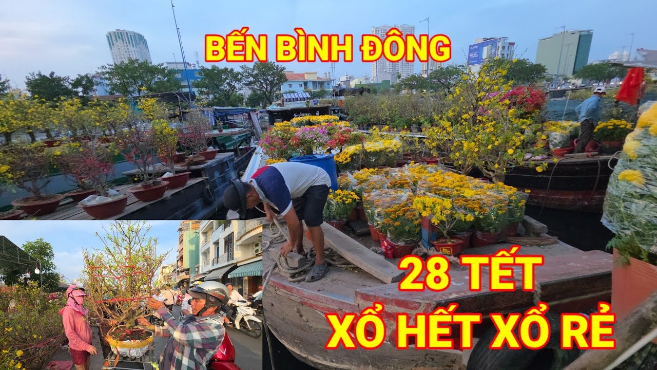 Chợ hoa BẾN BÌNH ĐÔNG kẻ khíc người cười MAI Bán Xổ, Tháo sớm các hoa CÚC lên thêm ghe mới liên hồi
