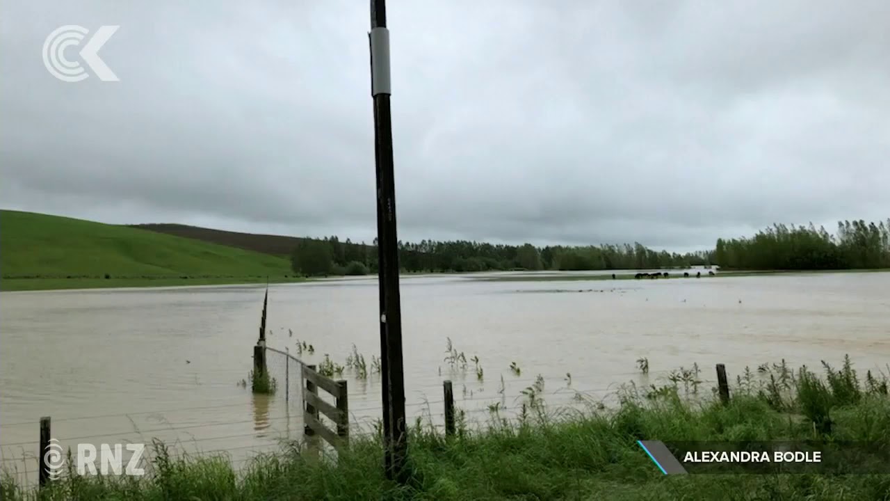 new zealand currency Inflatable raft used to rescue floating calves