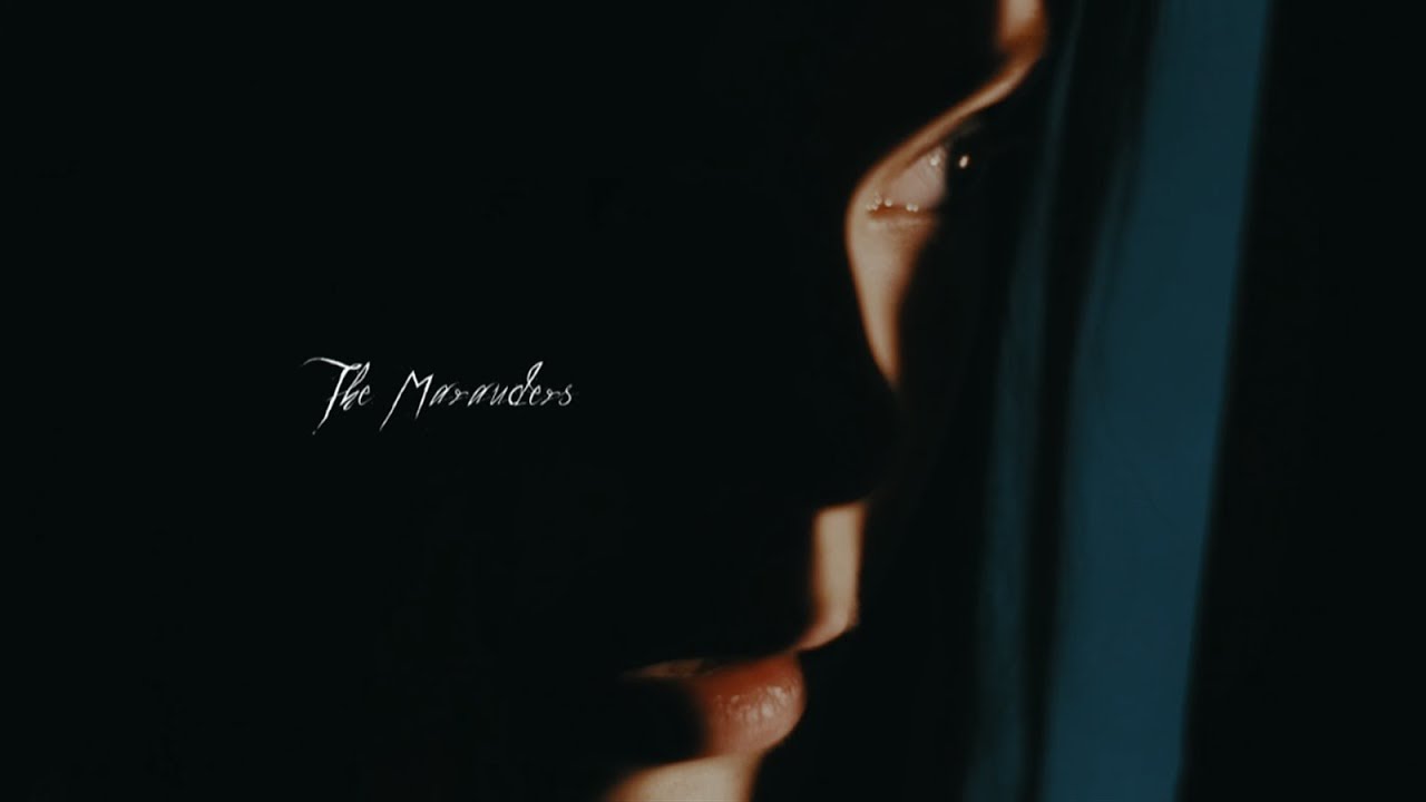 the marauders | dark times lie ahead  [+2K subs]