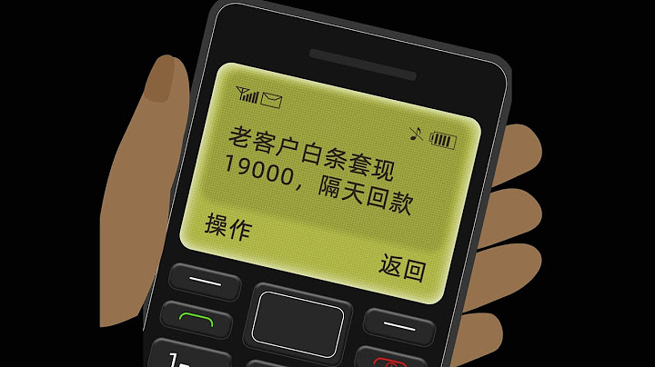 6月12號案例白條套現19000隔天回款 - 天天要聞