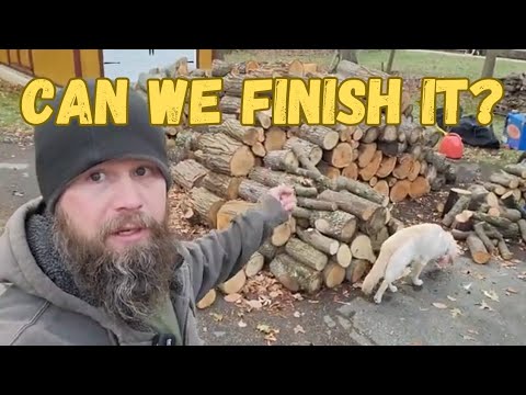 Put the verbs. Reported speech в английском языке. When i get to the cinema, the film already start. I finish in next week. I finish in next week.