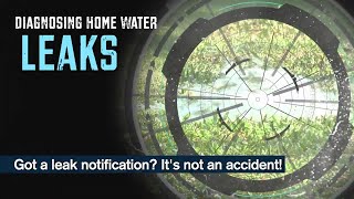 Diagnosing Home Water Leaks: Receive a leak notification? It's not an accident! Wealth