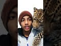MY editing with Ai with tiger 🐅 #tiger #Ai#trending #reels #viral