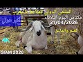 الغنم والماعز المعرض الدولي للفلاحة مكناس اليوم الثلاثاء 21 04 2026