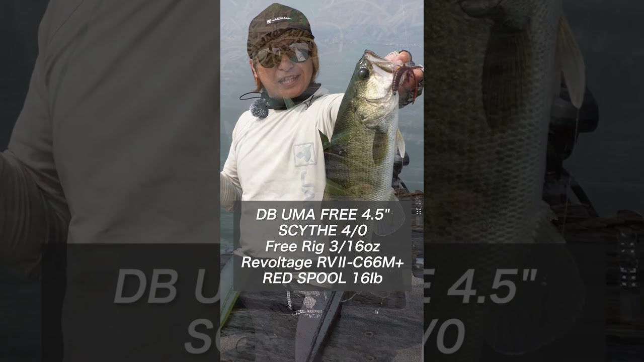 SHIBO FLAT/シボフラット - FRESH WATER バス釣り ｜JACKALL
