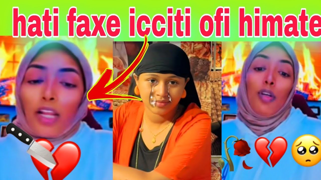 Hati faxe Rakko ofi hundaa himte