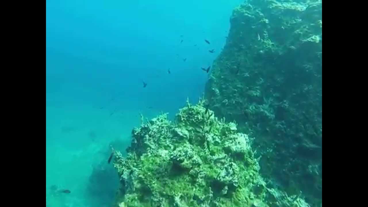 Santorini Snorkeling - Underwater