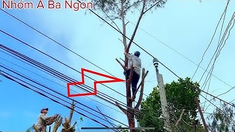 Điều gì xảy ra khi đồng nghiệp vua Khỉ leo cưa Cây Dương có nhiều đường dây điện trên mái tôn nhà