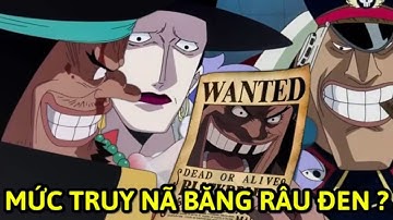 Băng Hải Tặc RÂU ĐEN: Năng Lực? Trái Ác Quỷ? Mức Truy Nã Là Bao Nhiêu?