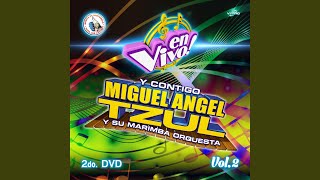 Video thumbnail of "Miguel Angel Tzul y su Marimba Orquesta - Aniceto Mix: El Gallo Mojado / Josefina / La Brujita / Traca Que Traca (En Vivo)"