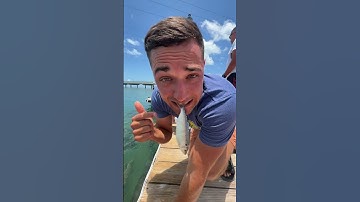 Thumbnail of WHEN PLAYING WITH THE FISH GOES RIGHT