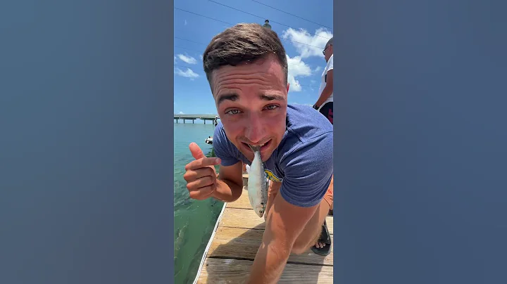 WHEN PLAYING WITH THE FISH GOES RIGHT - DayDayNews