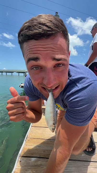 WHEN PLAYING WITH THE FISH GOES RIGHT