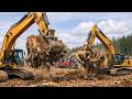 Giant Stumps Destroyed & Massive Wood Chippers in Action | Extreme Timber Machines