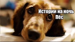 Истории на ночь: Пёс