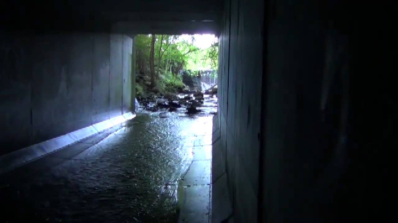 riverdale Death by Mis-Adventure