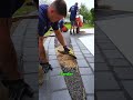 Skip Tile—This Outdoor Flooring Is Faster, Safer, and Looks Better#StoneCarpet #PatioUpgrade