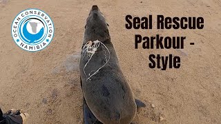 Seal Rescue Parkour