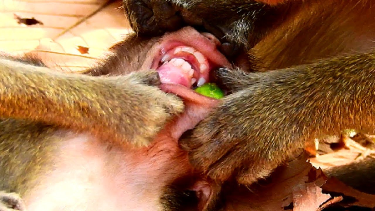 Trillion pity on Timo! Dydy tear baby's mouth , She does very cruel on baby, So sad baby