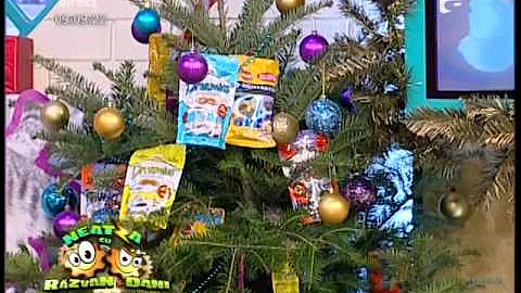 Candice Dragotă spune cum să-ți obișnuiești pisica cu un anumit tip de mâncare