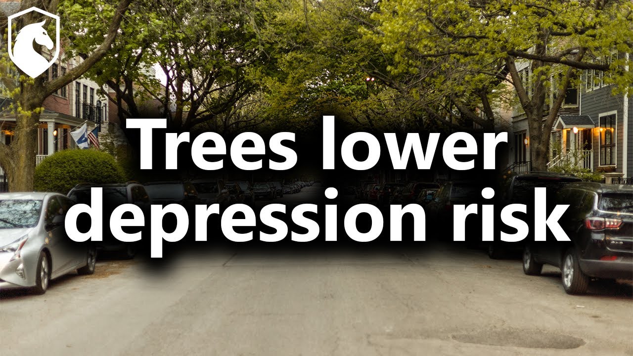 Importance of nature for human wellbeing (from Livestream #71)