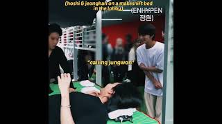 Seventeen adopting jungwon